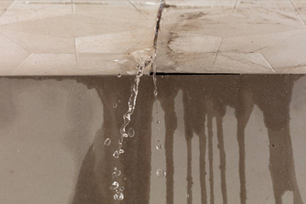 Professional Burst Pipe Cleanup technician working in Moulton, AL